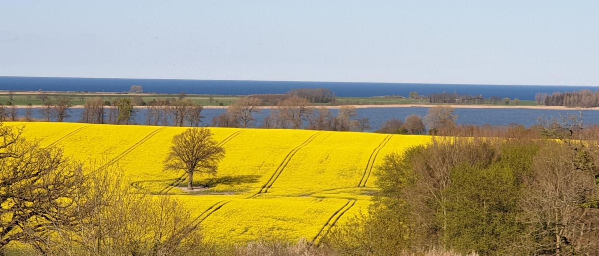 Idyllisches-Blockbohlenhaus-Mit-Eigenem-Garten-Und-Sauna-Zum-Wohlfuehlen Martensrade エクステリア 写真