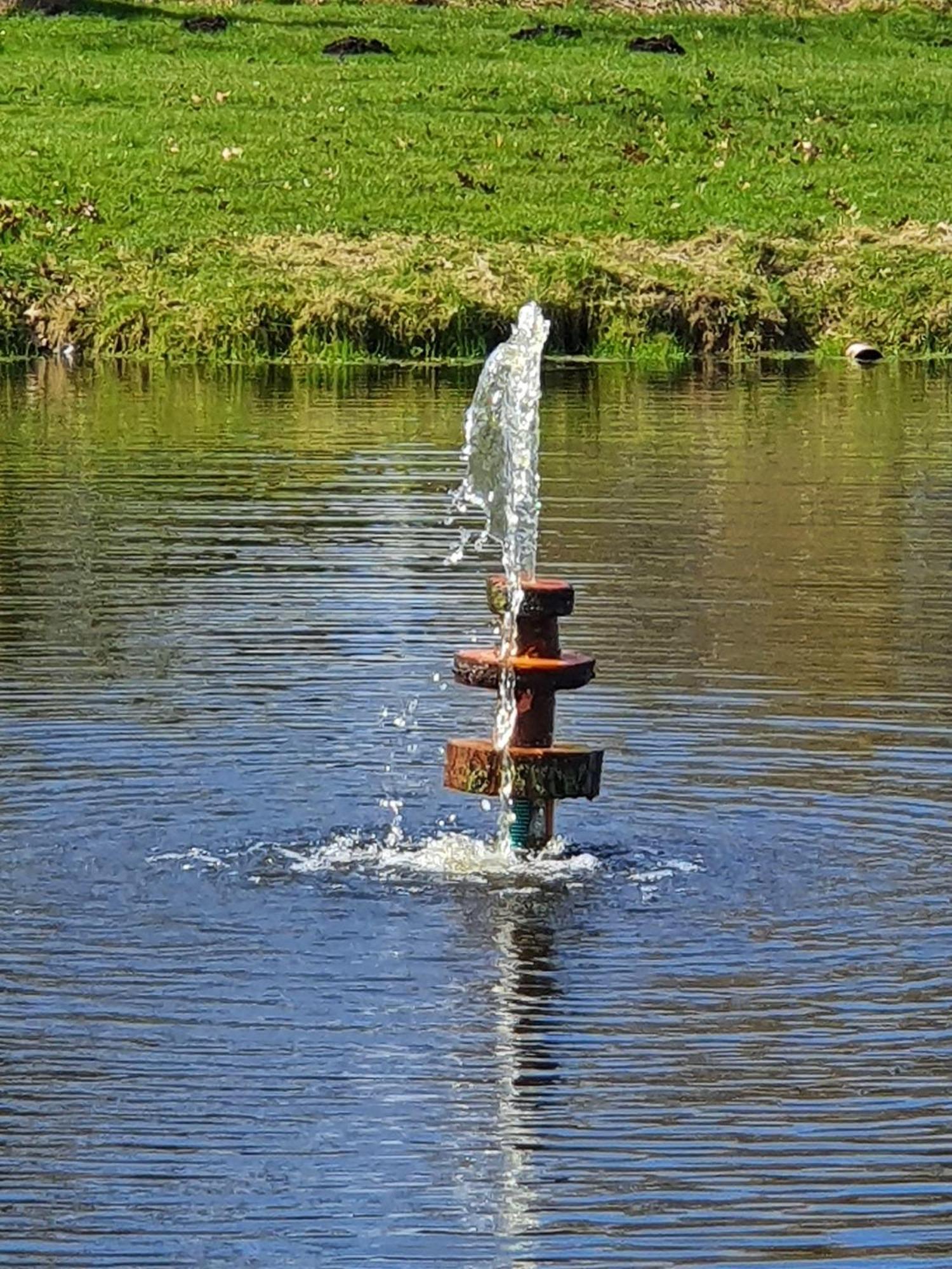 Idyllisches-Blockbohlenhaus-Mit-Eigenem-Garten-Und-Sauna-Zum-Wohlfuehlen Martensrade エクステリア 写真