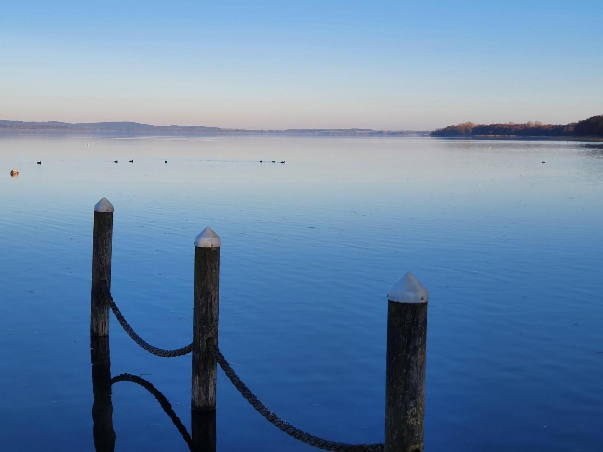Idyllisches-Blockbohlenhaus-Mit-Eigenem-Garten-Und-Sauna-Zum-Wohlfuehlen Martensrade エクステリア 写真