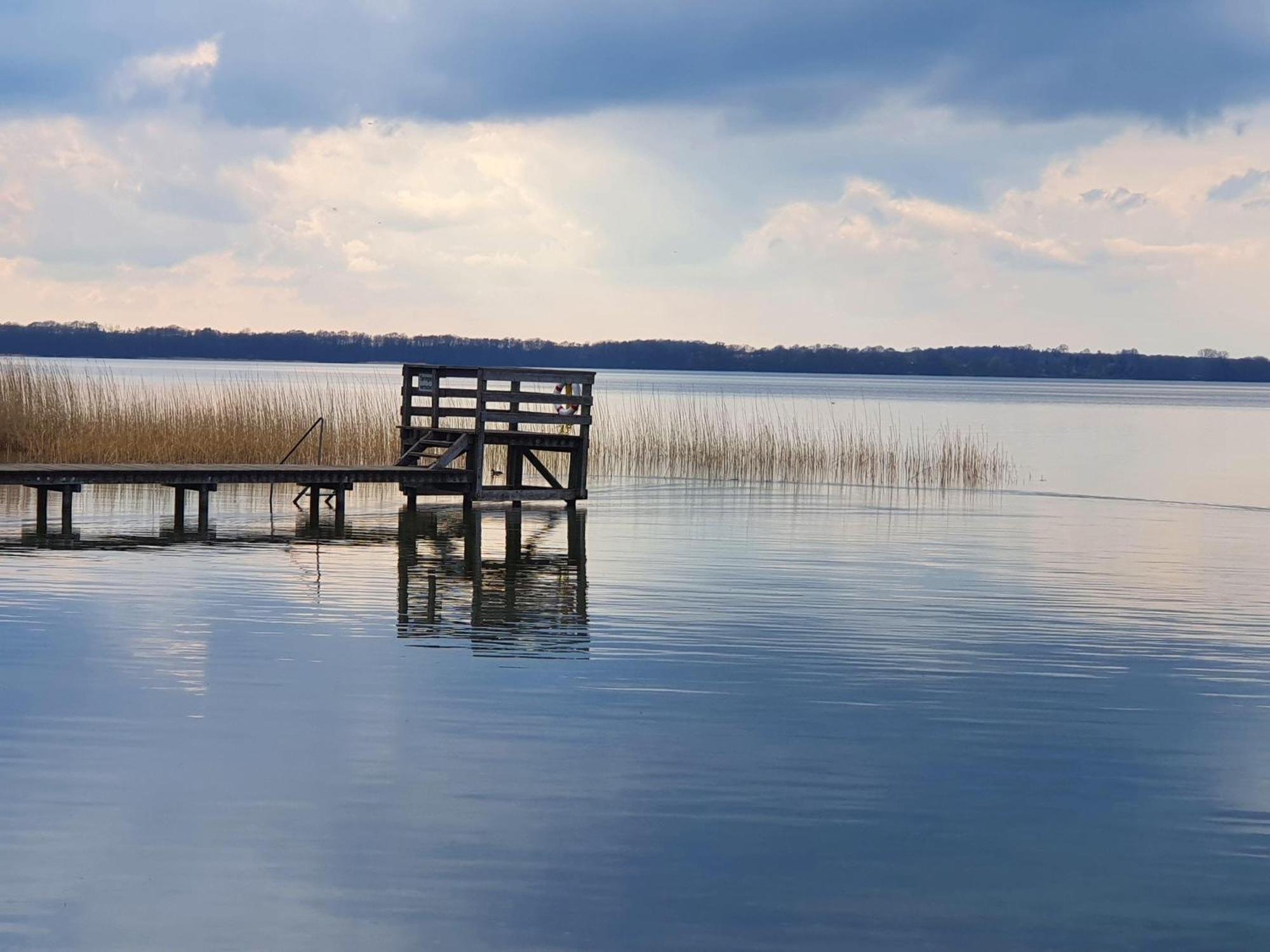 Idyllisches-Blockbohlenhaus-Mit-Eigenem-Garten-Und-Sauna-Zum-Wohlfuehlen Martensrade エクステリア 写真