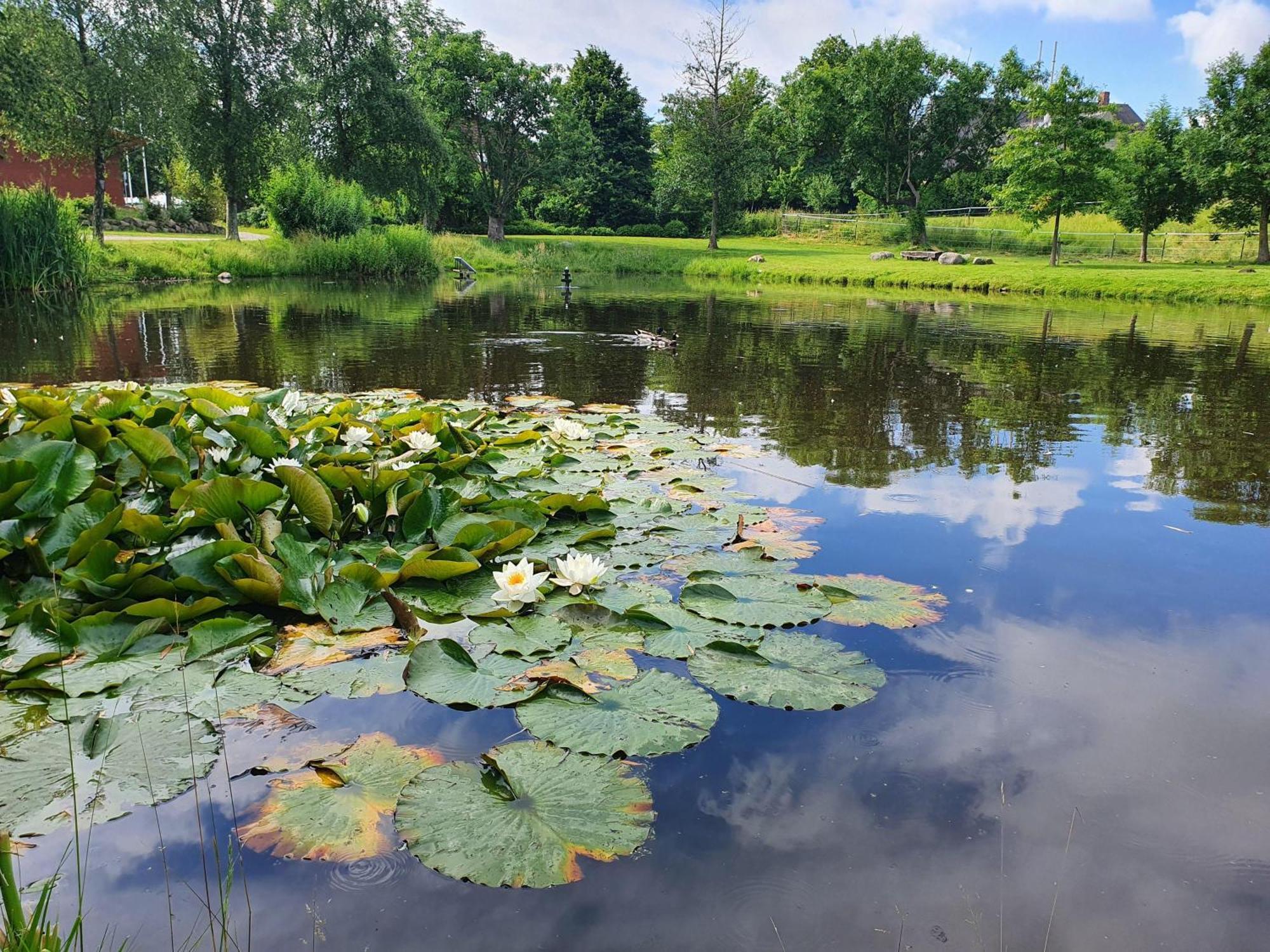 Idyllisches-Blockbohlenhaus-Mit-Eigenem-Garten-Und-Sauna-Zum-Wohlfuehlen Martensrade エクステリア 写真