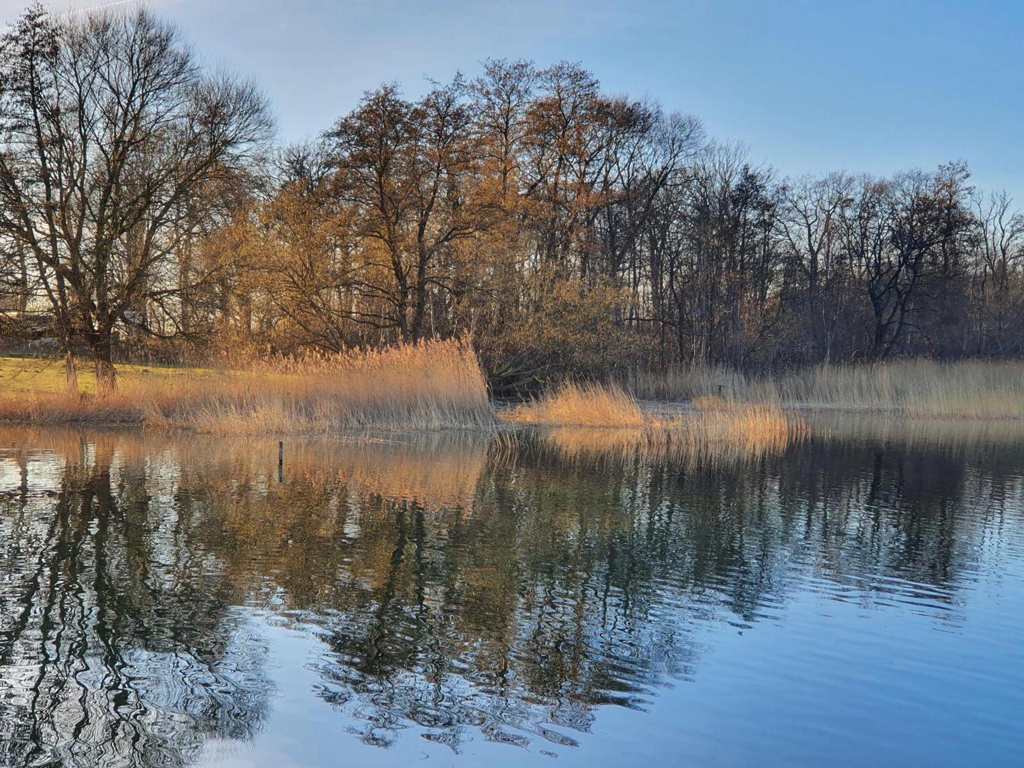 Idyllisches-Blockbohlenhaus-Mit-Eigenem-Garten-Und-Sauna-Zum-Wohlfuehlen Martensrade エクステリア 写真